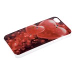 Capac Spate Pentru Iphone 5/5s Colectia Dragoste
